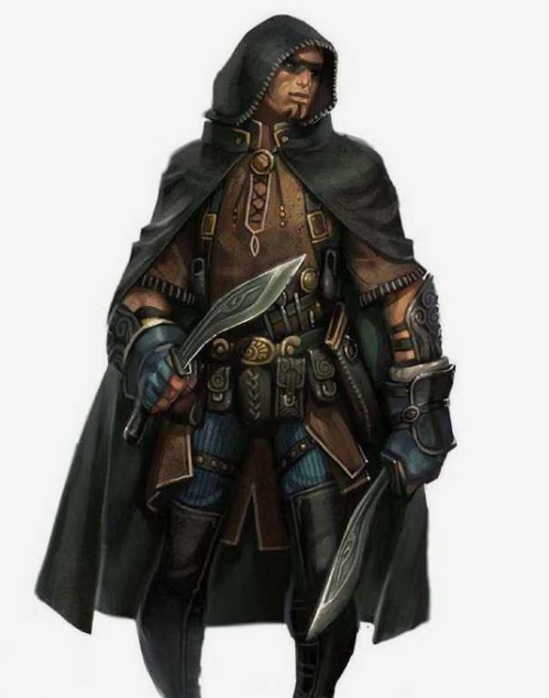 male rogue