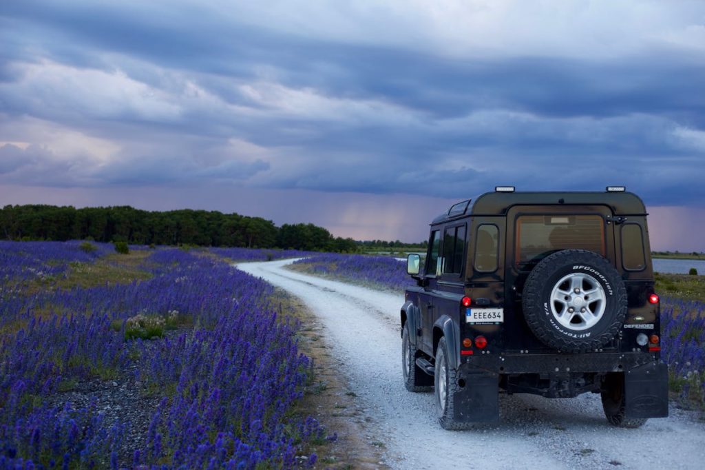 Adventure-Fueled Road Trip